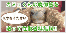 �J�~������̔ӌ�уL�����y�[���ɔ�т܂�