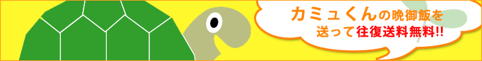 �J�~������̔ӌ�уL�����y�[��