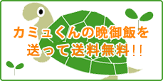 �J�~������̔ӌ�уL�����y�[��