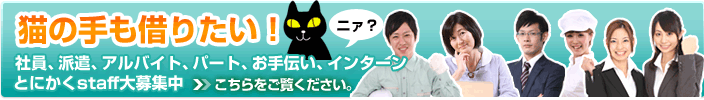 �L�̎���؂肽���I�p�\�R���C���X�^�b�t��W�I